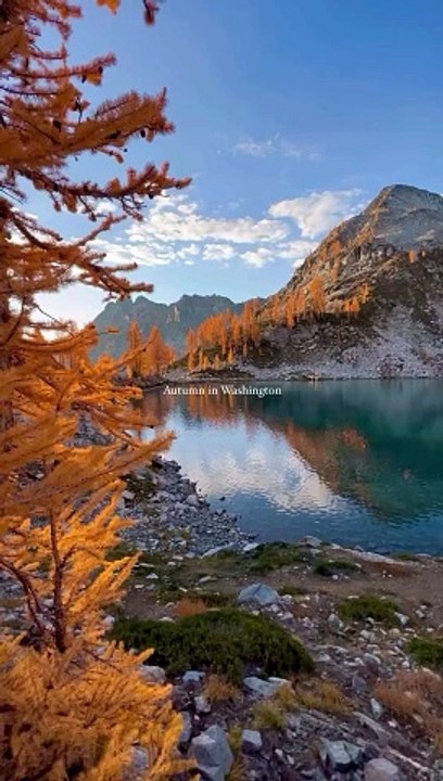 Autumn in Washington #autumn #weather #naturevibes #nature #naturalbeauty
