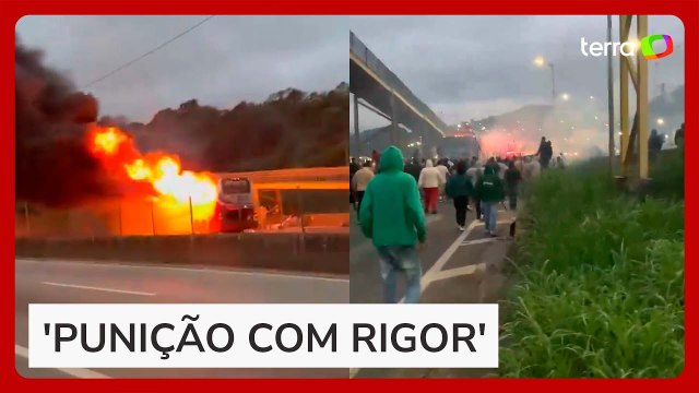 Palmeiras se manifesta após ataque de torcedores da Mancha a Máfia Azul e pede 'punição com rigor'