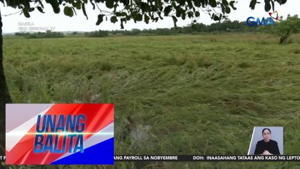 Dept of Agriculture – Mahigit P541M na halaga ng agricultural inputs, handa nang ipamahagi sa mga apektadong magsasaka | Unang Balita
