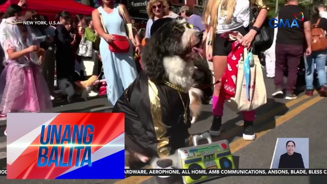 Mga aso, nag-ala paw-shionistas sa Tompkins Square Halloween Dog Parade | Unang Balita