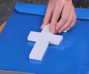 Cool backpack for FB #1 fans!