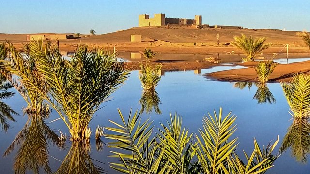 Lluvias torrenciales devuelven la vida al desierto del Sáhara en Marruecos