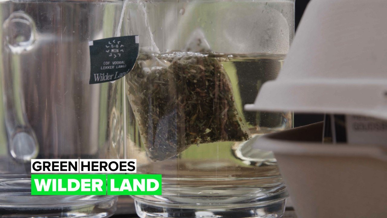Green Heroes: Wilder Land