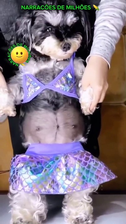 Cleitinho nas Pirâmides do Egito