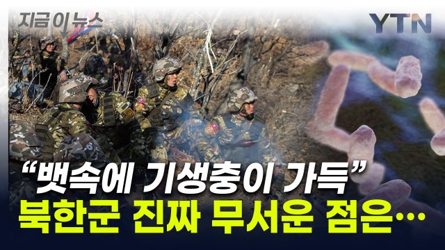 기생충 가득한 北 군인, 진짜 무서운 건... 외신이 주목한 전술 [지금이뉴스] / YTN