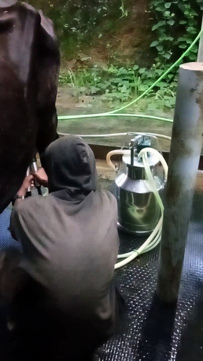 Milk farm