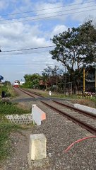Melintas Langsung Tanpa Transit