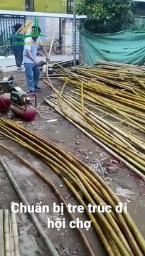 Uốn Cong Cây Trúc: Bước Đầu Cho Gian Hàng Tre Độc Đáo Tại Aeon Long Biên - Tre trúc Ngọc Dương