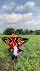 Tổng hợp các pha thả diều sáo cá bẹn cõng bộ sáo 13 quả kinh điển of học sinh cấp 1