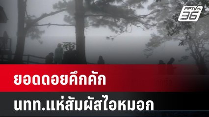 ยอดดอยคึกคัก นทท.แห่สัมผัสไอหมอก   | โชว์ข่าวเช้านี้ | 28 ต.ค. 67