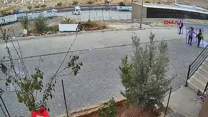 Cani kamerada: Yavru köpeği parke taşıyla katletti