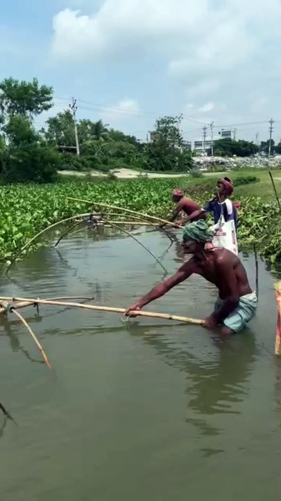 Village Unique Fishing 