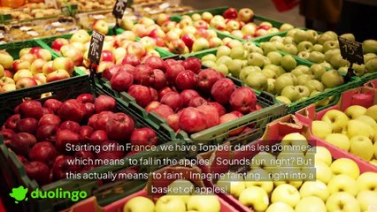 Duolingo Idiom Roast