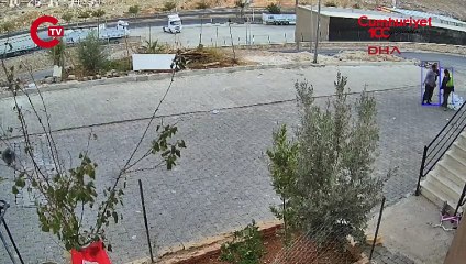 Yavru köpeği parke taşıyla katleden saldırgan gözaltına alındı!