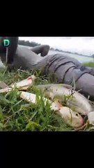 Hyperphysical Fishing Man #shorts #shortvideo #video #virals #videoviral #innovationhub