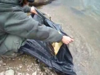 carpe de derniere minute a cabanac