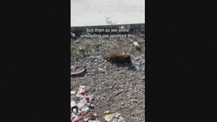 Fueron a tirar la basura y volvieron con el tesoro que les cambió la vida