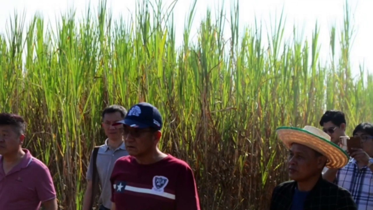 Cinjun, Exploring Renewable Energy in Sustainable Power Generation