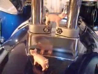 L'homme qui murmurait à l'oreille des cochons 2eme épisode