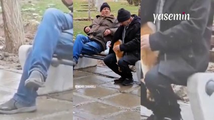 Üşüdüğü için adamın ceketine sarıldı! Kedilerin insan sevgisi...
