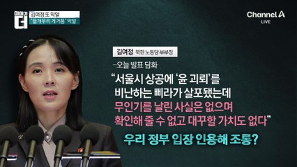 김여정 또 막말…“서울에 무인기” 으름장