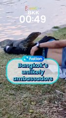 Bangkok’s unlikely ambassadors