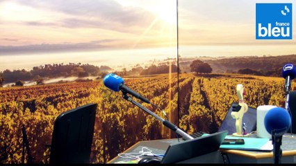 28/10/2024 - ICI Matin France Bleu Elsass en vidéo