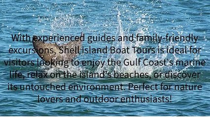 Shell Island Boat Tours