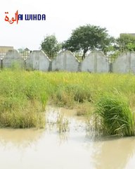 Reportage : Le lycée de Gardolé Djédid, situé dans le 9e arrondissement de N’Djamena, est complètement inondé et abrite environ 200 sinistrés. La rentrée scolaire, officiellement lancée ce 1er octobre 2024, n’a pas pu être observée dans cet établissement.