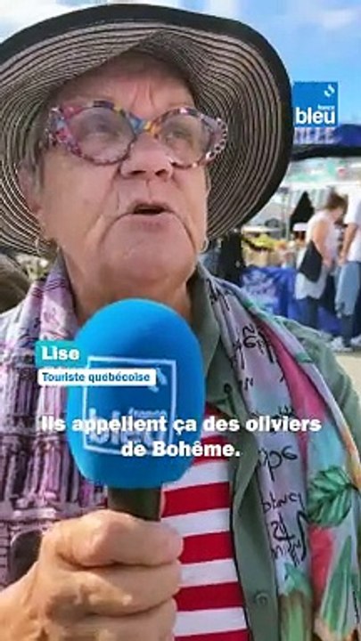 Tournée des marchés 2024 - L'Olive