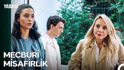 Denize Düşen Serhan'a Sarılır - Yabani 43. Bölüm