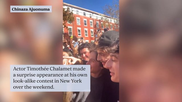 Actor Timothée Chalamet crashes own lookalike contest in New York park causing pandemonium