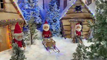 First look at Bristol garden centre's magical Christmas shop
