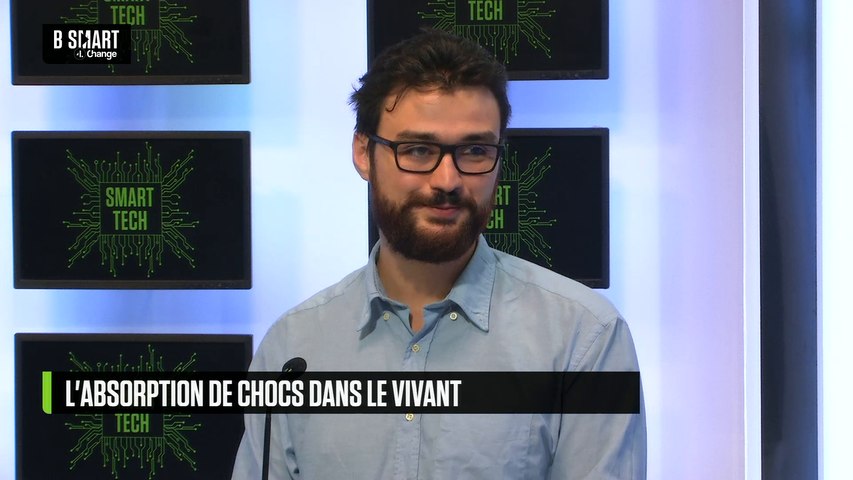L'absorption de chocs dans le vivant, inspiré de l'éponge de verre 