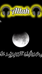 Surah mulk 3#SurahMulk#IslamicShorts#QuranRecitation