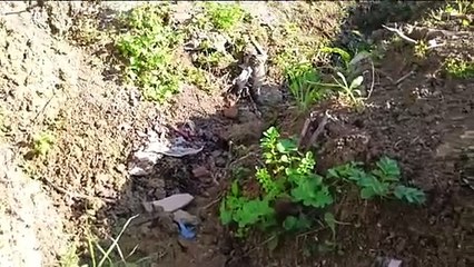 Yola akan su tedirgin ediyor