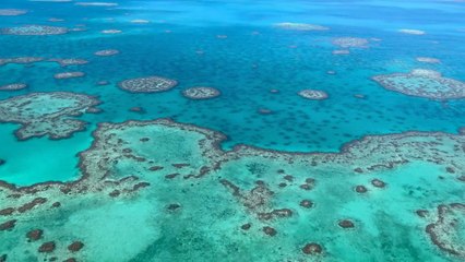 Fascinating Facts About the Ocean