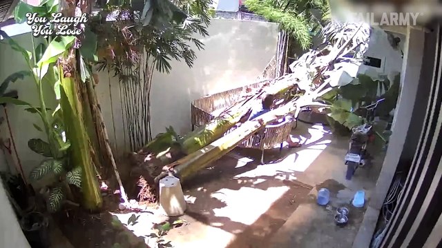 Funny Fails You May Have Missed ｜ Idiots of the Month #funny #fails #laugh #compilation