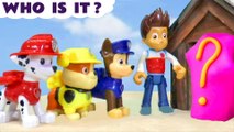 Can the Paw Patrol Pups work out Who the Mystery Characters are in these toy stories ?