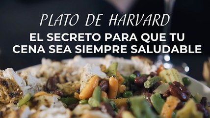El Plato de Harvard: La Clave para Cenas Saludables y Equilibradas 🍽️