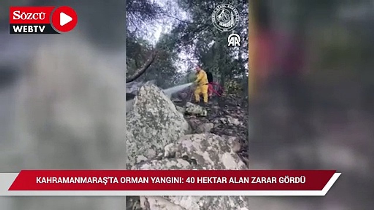Kahramanmaraş'ta orman yangınında 40 hektar alan zarar gördü