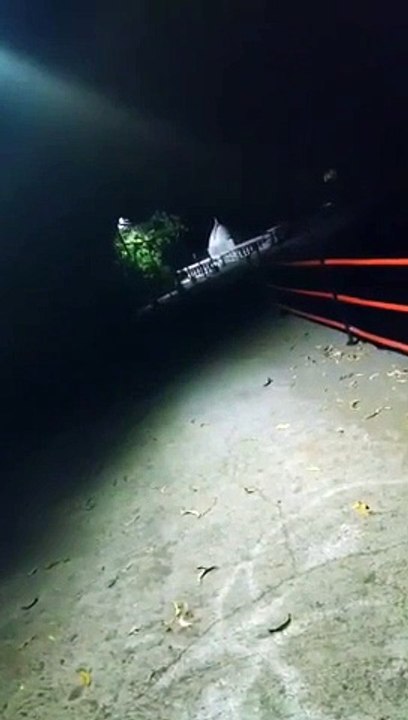 VID-20210818-WA0015
