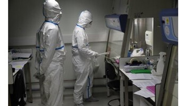 Coronavirus nato in laboratorio (ma non come arma biologica): nuove indagini su vera origine del virus