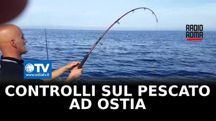 Controlli della guardia costiera sul pescato: sanzionati due centri all'ingrosso