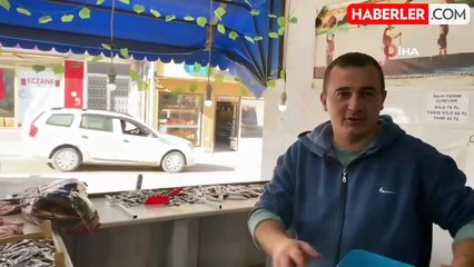 Meriç Nehri'nde 2 Metre Boyunda Dev Yayın Balığı Yakalandı