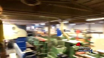 Nuova vita per Spelacchio