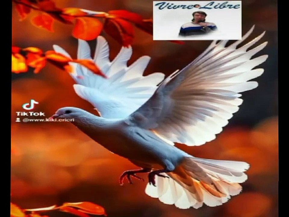 vivre libre frank michael