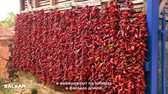 Сербская красная деревня Доня Локошница и ковроткачество Пирот, внесенное в список ЮНЕСКО