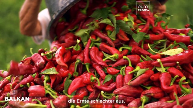 Serbiens rotes Dorf Donja Lokošnica und das UNESCO-Weltkulturerbe Pirot-Teppichhandwerk