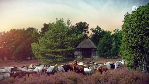 Rote Rosen 4049 folge